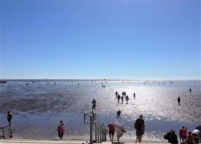 Haukes Koje Lejlighed